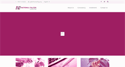 Desktop Screenshot of nfconsulting.org